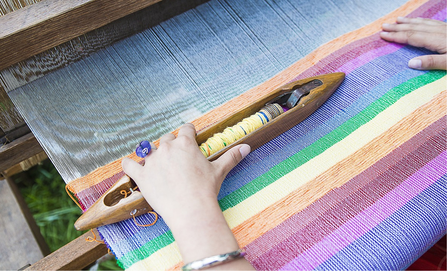 自然と人の調和を目指して