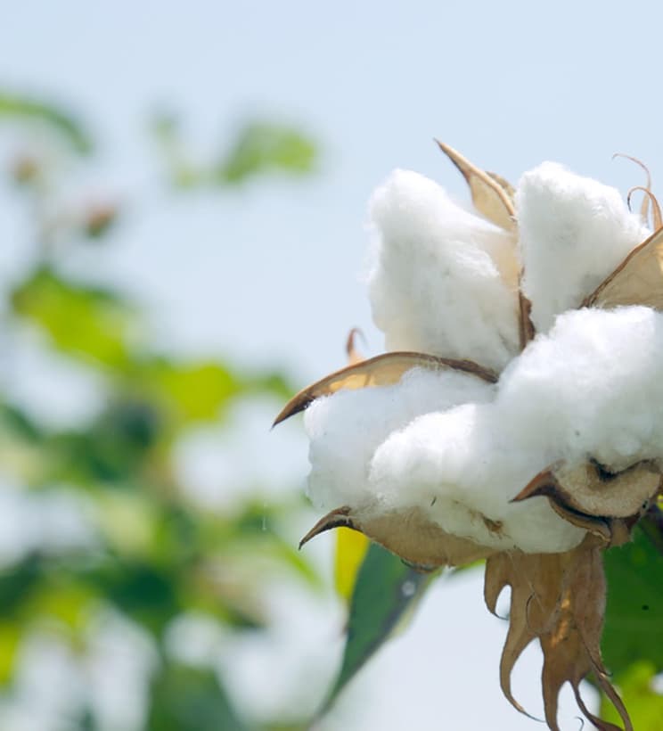 次の世代へつなぐサステナブルな視点