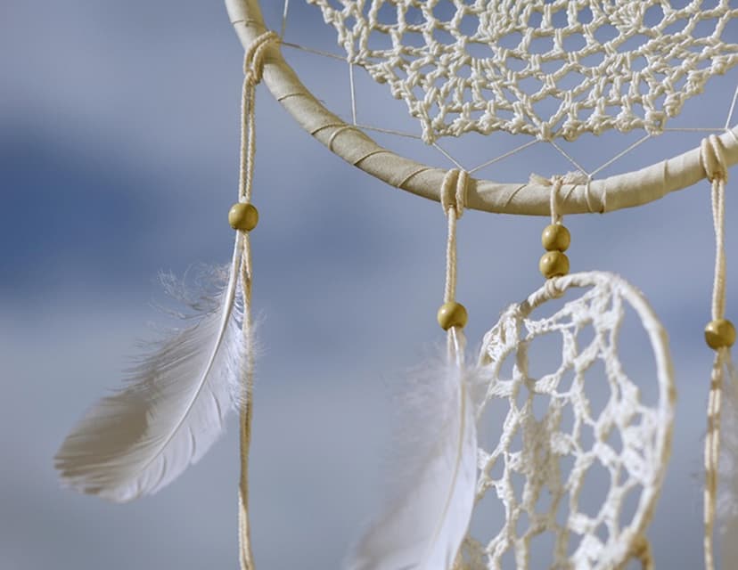 フェザーレースサークル