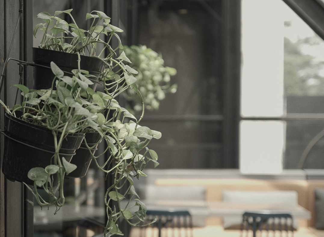 Company 会社概要